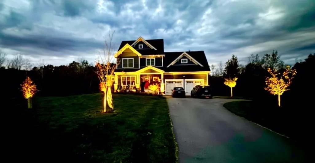 Backyard design property with landscape uplighting on driveway trees at dusk - Up North Scapes NH