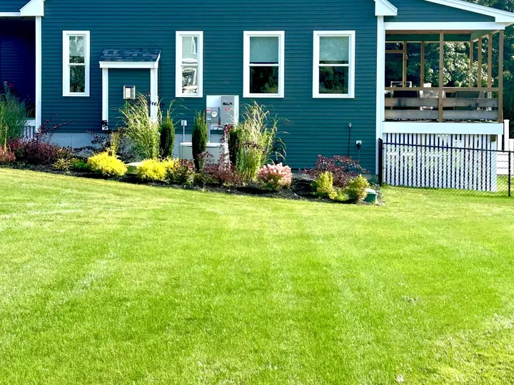 Low shrubs and perennials along the side of a house