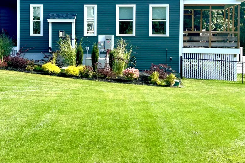 Low shrubs and perennials planted along the side of a home