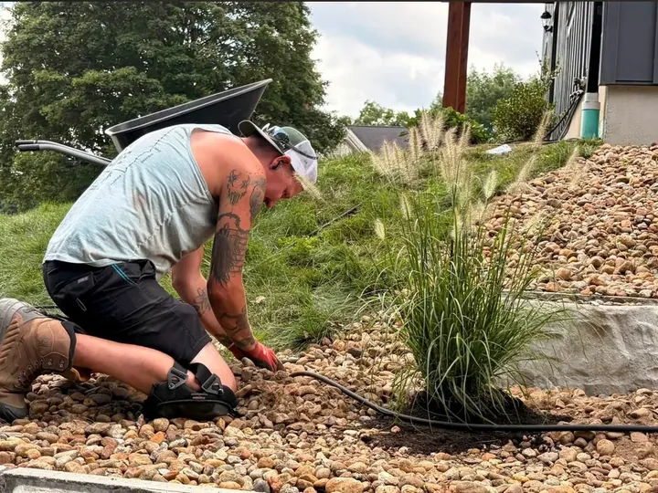 Up North Scapes crew member setting an ornamental grass into a new bed