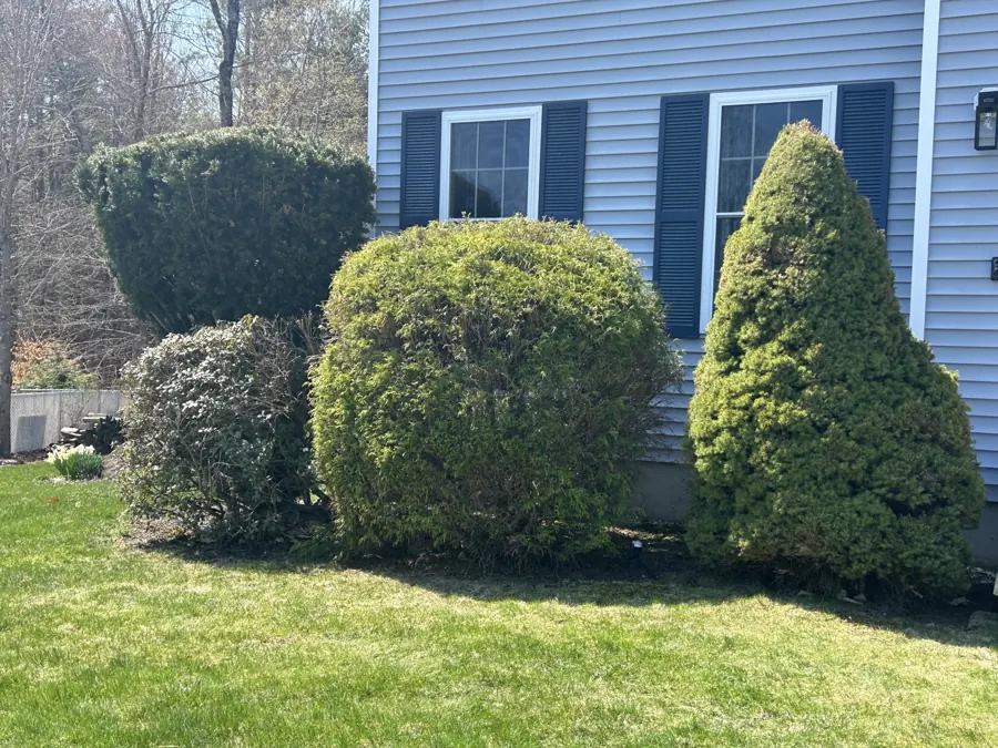 Foundation plantings on the NH Seacoast