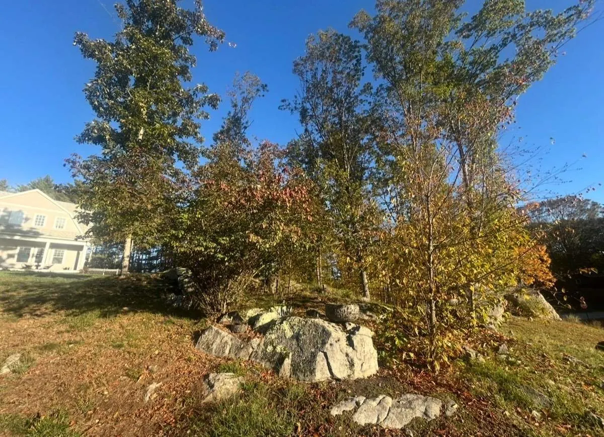 Landscape planting before transformation - NH