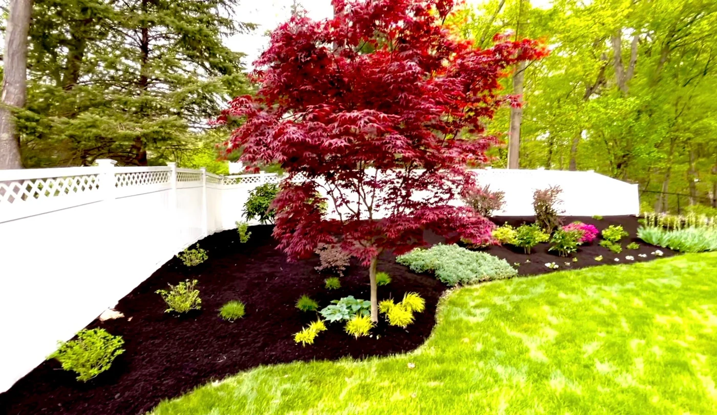 Freshly mulched garden bed detail