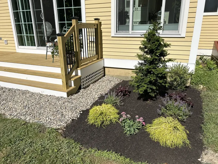 Dwarf evergreen and perennials beside deck stairs