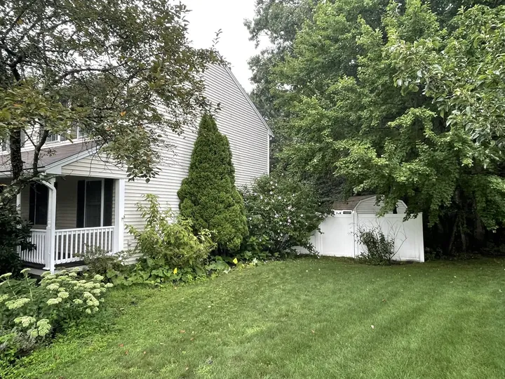 New shrubs planted along the side of a house