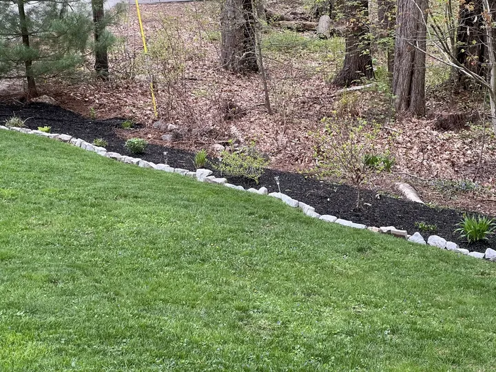Long bed edged along a lawn with fresh mulch