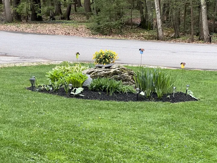 Island bed of shrubs in a lawn