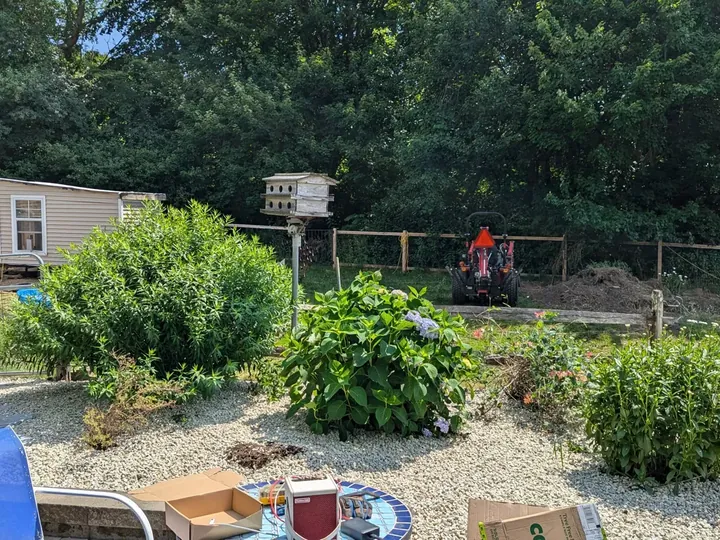 Shrubs planted in gravel around a backyard patio