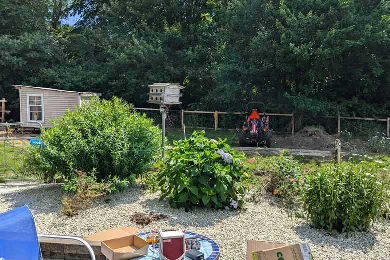Shrubs planted in gravel around a backyard patio