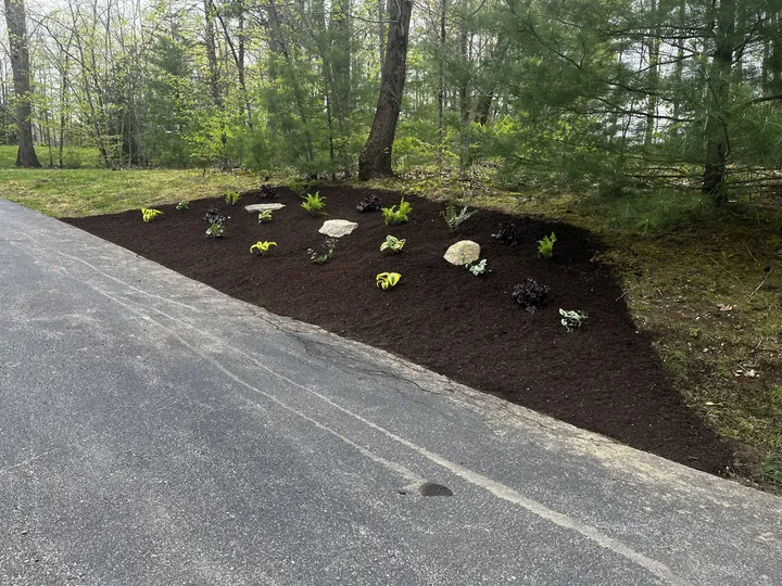 New mulched bed of perennials along a driveway